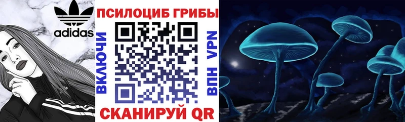 Галлюциногенные грибы мицелий  Кубинка 